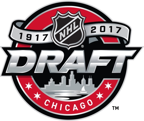 NHL Draft 2017 Primary Logo iron on heat transfer